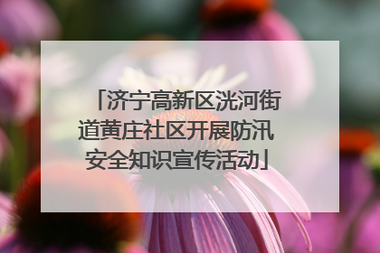 济宁高新区洸河街道黄庄社区开展防汛安全知识宣传活动