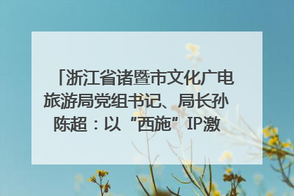 浙江省诸暨市文化广电旅游局党组书记、局长孙陈超：以“西施”IP激活全域旅游 打造县域文旅融合新标杆｜第七届全国县域旅游研究成果发布系列活动