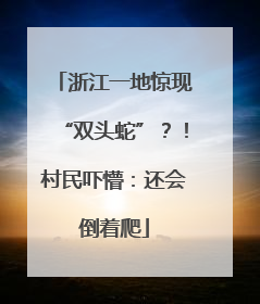 浙江一地惊现“双头蛇”？！村民吓懵：还会倒着爬