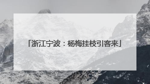 浙江宁波：杨梅挂枝引客来