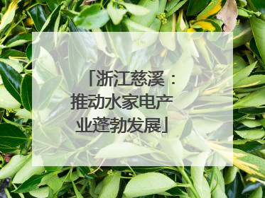 浙江慈溪：推动水家电产业蓬勃发展
