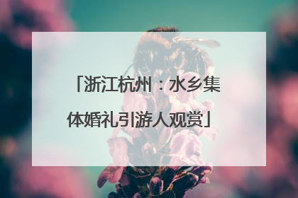 浙江杭州：水乡集体婚礼引游人观赏