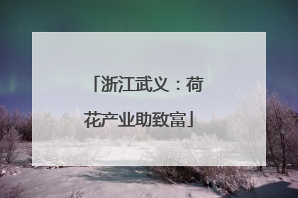浙江武义：荷花产业助致富
