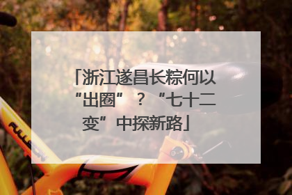 浙江遂昌长粽何以“出圈”？“七十二变”中探新路