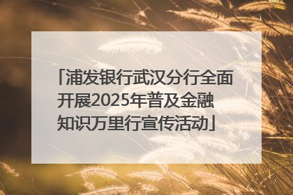 浦发银行武汉分行全面开展2025年普及金融知识万里行宣传活动