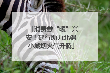 消费券“暖”兴安！建行助力北疆小城烟火气升腾