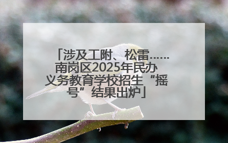 涉及工附、松雷……南岗区2025年民办义务教育学校招生“摇号”结果出炉