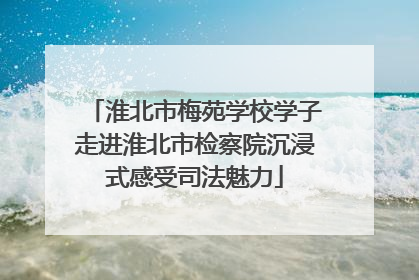 淮北市梅苑学校学子走进淮北市检察院沉浸式感受司法魅力
