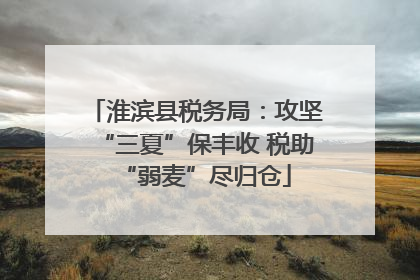 淮滨县税务局：攻坚“三夏”保丰收 税助“弱麦”尽归仓