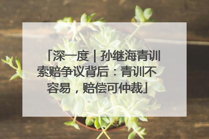 深一度｜孙继海青训索赔争议背后：青训不容易，赔偿可仲裁