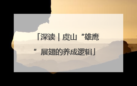 深读｜虞山“雄鹰”展翅的养成逻辑
