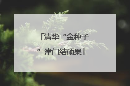 清华“金种子”津门结硕果
