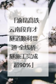 渝昆高铁云南段育才隧道顺利贯通 全线桥隧施工完成超90%