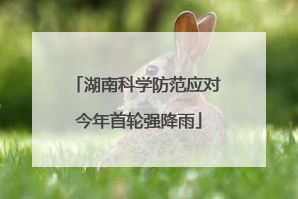 湖南科学防范应对今年首轮强降雨