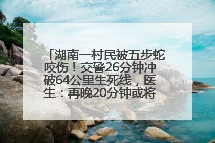 湖南一村民被五步蛇咬伤！交警26分钟冲破64公里生死线，医生：再晚20分钟或将呼吸肌麻痹