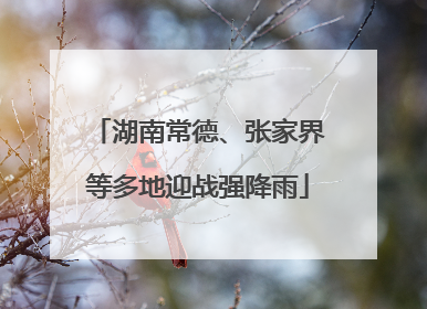 湖南常德、张家界等多地迎战强降雨