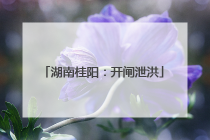 湖南桂阳：开闸泄洪