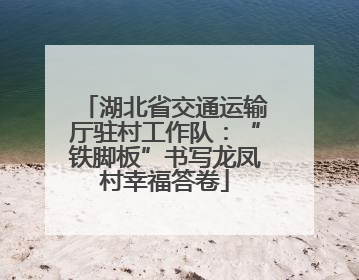 湖北省交通运输厅驻村工作队：“铁脚板”书写龙凤村幸福答卷