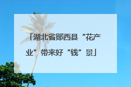 湖北省郧西县“花产业”带来好“钱”景