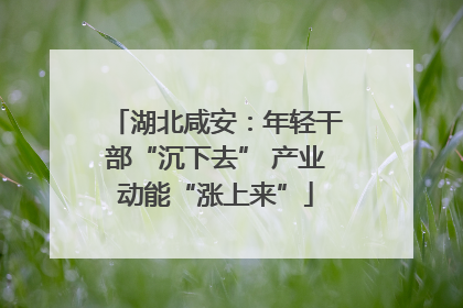 湖北咸安：年轻干部“沉下去” 产业动能“涨上来”
