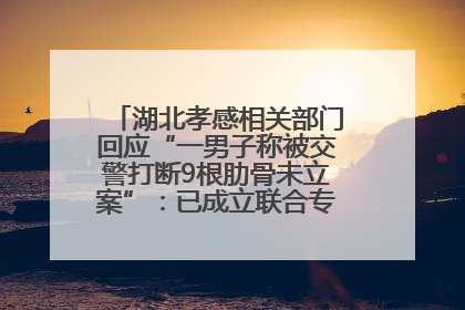 湖北孝感相关部门回应“一男子称被交警打断9根肋骨未立案”：已成立联合专班开展工作