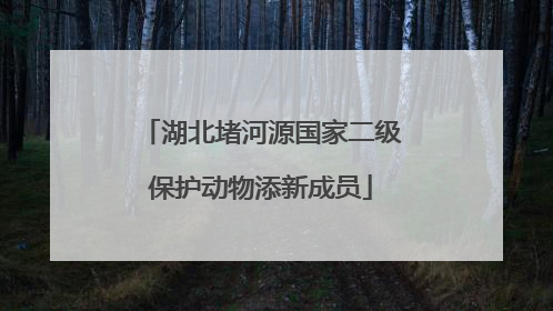 湖北堵河源国家二级保护动物添新成员