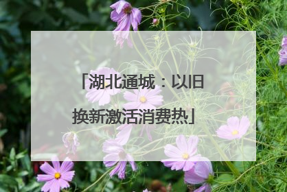 湖北通城：以旧换新激活消费热