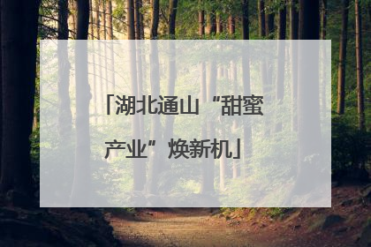湖北通山“甜蜜产业”焕新机