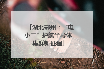 湖北鄂州：“电小二”护航半导体集群新征程