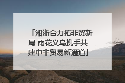 湘浙合力拓非贸新局 雨花义乌携手共建中非贸易新通道