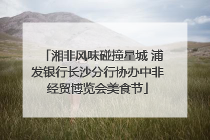 湘非风味碰撞星城 浦发银行长沙分行协办中非经贸博览会美食节