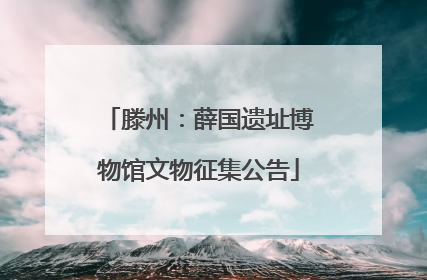 滕州：薛国遗址博物馆文物征集公告