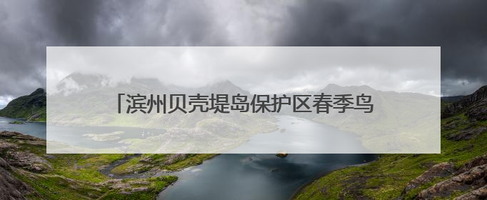 滨州贝壳堤岛保护区春季鸟类调查成果惊艳：多项纪录刷新，生态保护成效显著