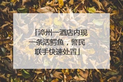 漳州一酒店内现一条活鳄鱼，警民联手快速处置