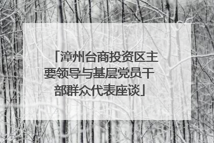 漳州台商投资区主要领导与基层党员干部群众代表座谈