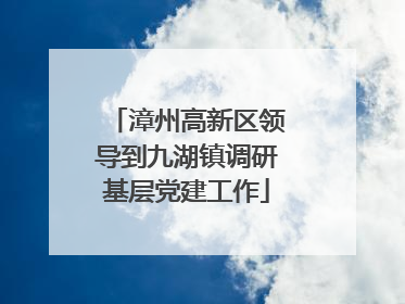 漳州高新区领导到九湖镇调研基层党建工作