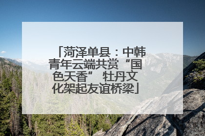 菏泽单县：中韩青年云端共赏“国色天香” 牡丹文化架起友谊桥梁