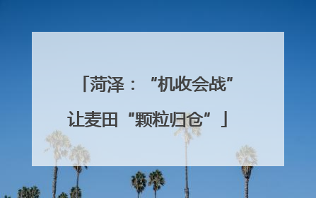 菏泽：“机收会战”让麦田“颗粒归仓”