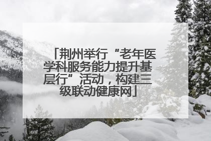 荆州举行“老年医学科服务能力提升基层行”活动，构建三级联动健康网