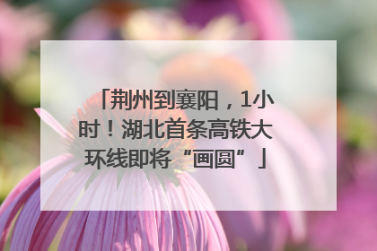 荆州到襄阳，1小时！湖北首条高铁大环线即将“画圆”