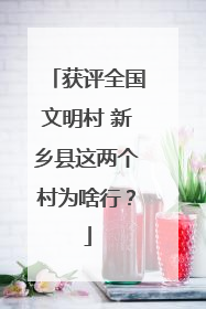 获评全国文明村 新乡县这两个村为啥行？