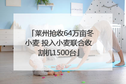莱州抢收64万亩冬小麦 投入小麦联合收割机1500台