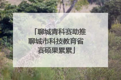 聊城青科赛助推聊城市科技教育省赛硕果累累