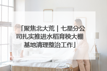 聚焦北大荒｜七星分公司扎实推进水稻育秧大棚基地清理整治工作