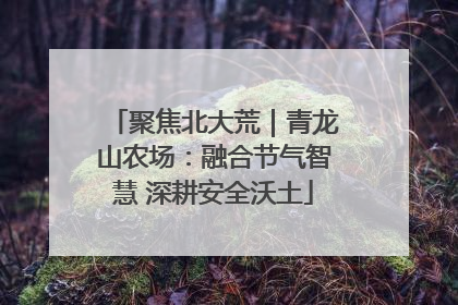 聚焦北大荒｜青龙山农场：融合节气智慧 深耕安全沃土