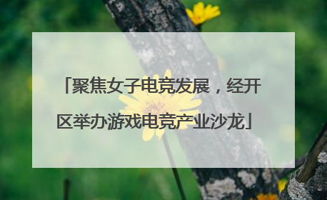聚焦女子电竞发展，经开区举办游戏电竞产业沙龙