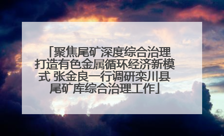 聚焦尾矿深度综合治理 打造有色金属循环经济新模式 张金良一行调研栾川县尾矿库综合治理工作