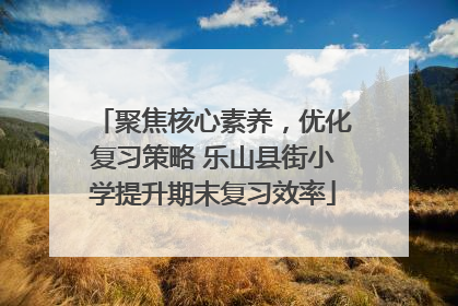 聚焦核心素养，优化复习策略 乐山县街小学提升期末复习效率