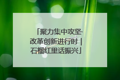 聚力集中攻坚·改革创新进行时｜石榴红里话振兴