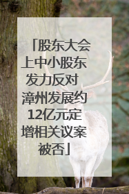 股东大会上中小股东发力反对 漳州发展约12亿元定增相关议案被否